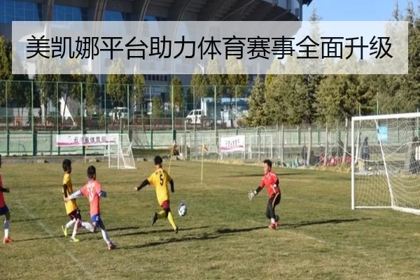 美凯娜平台助力体育赛事全面升级