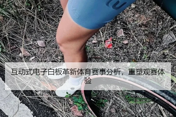 互动式电子白板革新体育赛事分析，重塑观赛体验
