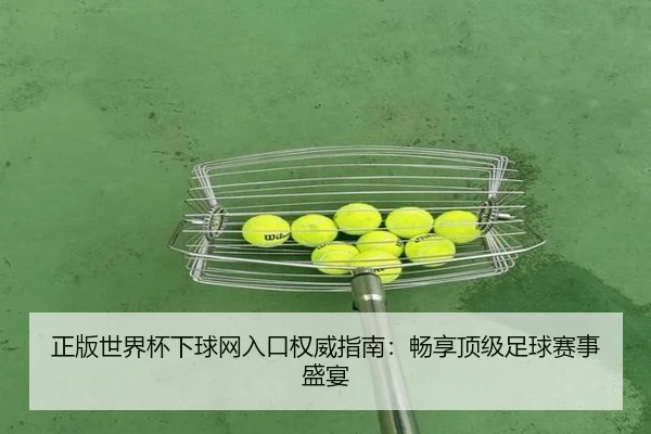 正版世界杯下球网入口权威指南：畅享顶级足球赛事盛宴